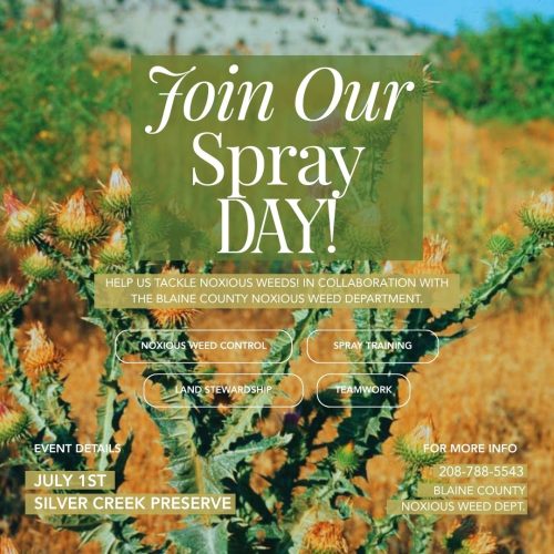 Volunteer Noxious Weed Spray Day — Silver Creek Preserve